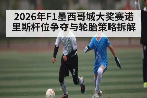2026年F1墨西哥城大奖赛诺里斯杆位争夺与轮胎策略拆解